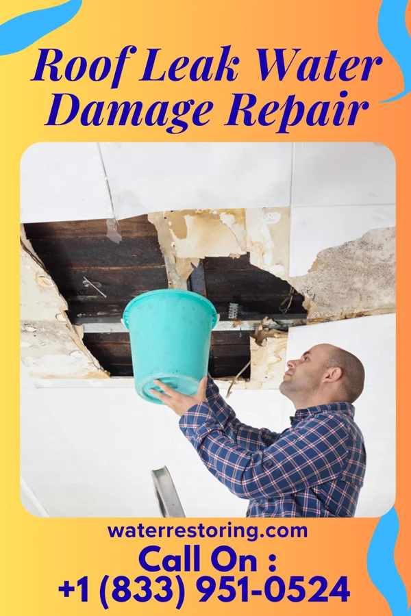 Roof Leak Water Damage Repair in Hartsburg, IL